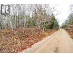 Old North Range Road, Ashmore, NS B0W3T0 Photo 5