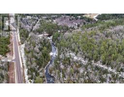 0 Park Road, Hastings Highlands, ON K0L2R0 Photo 3