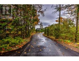 Utility room - 48 Maple Avenue, Kawartha Lakes, ON K0M2B0 Photo 4