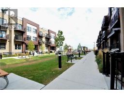 Laundry room - 10 Palace Street Unit D 1, Kitchener, ON N2E0J3 Photo 3