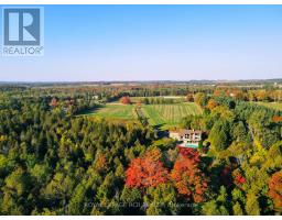 Office - 674189 Hurontario Street, Mono, ON L9W5R9 Photo 4