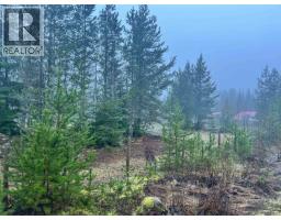 504 Williams Creek Road, Terrace, BC V8G0G5 Photo 3