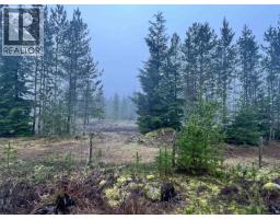 504 Williams Creek Road, Terrace, BC V8G0G5 Photo 5