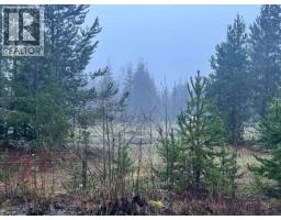 504 Williams Creek Road, Terrace, BC V8G0G5 Photo 2