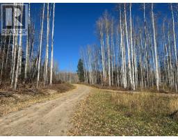 Primary Bedroom - 6016 Westall Subdivision, Chetwynd, BC V0C1J0 Photo 4