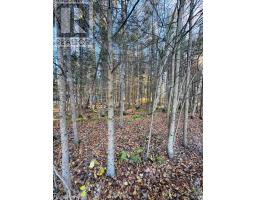 1325 Lakeshore Drive, North Bay, ON P1B8Z4 Photo 2