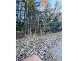 1325 Lakeshore Drive, North Bay, ON P1B8Z4 Photo 4