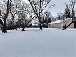 1315 7th Avenue S, Virden, MB R0M2C0 Photo 3