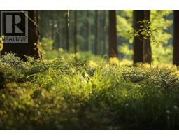 Lot Old Mountain Road, Rossway, NS B0W1V0 Photo 2