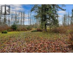 Living room - 2509 Glenmore Rd, Campbell River, BC V9H1C9 Photo 4