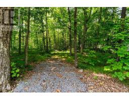 143 Marble Point Road, Marmora And Lake, ON K0K2M0 Photo 2