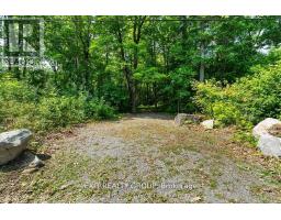 143 Marble Point Road, Marmora And Lake, ON K0K2M0 Photo 3