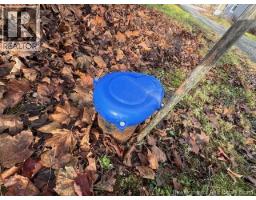 Bedroom - 4582 Route 880, Havelock, NB E4Z5K8 Photo 5