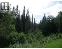 Nw 9 89 21 W 5 Deadwood, Rural Northern Lights County Of, AB T0H1A0 Photo 4