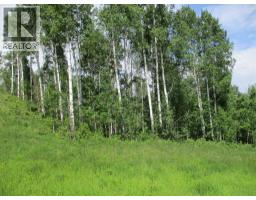 Nw 9 89 21 W 5 Deadwood, Rural Northern Lights County Of, AB T0H1A0 Photo 5