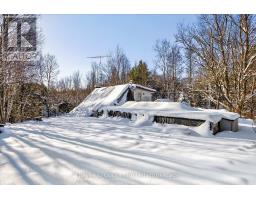 1350 Madill Road, Highlands East, ON K0L2Y0 Photo 5