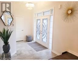 Kitchen - 24 Kneale Street, Brantford, ON N3S0J2 Photo 5