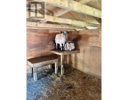Bedroom - 1445 Crandall Road, Sugar Camp, NS B9A1T7 Photo 5