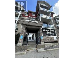 Laundry room - 314 9810 96 Street, Grande Prairie, AB T8V0R5 Photo 3