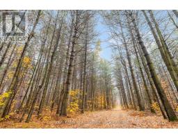 5992 Concession 2 Sunnidale, Clearview, ON L0M1N0 Photo 5