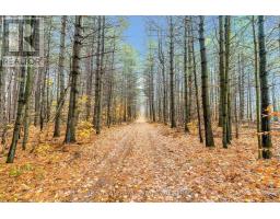 5992 Concession 2 Sunnidale, Clearview, ON L0M1N0 Photo 4