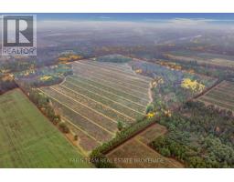 5992 Concession 2 Sunnidale, Clearview, ON L0M1N0 Photo 2