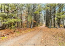 5992 Concession 2 Sunnidale, Clearview, ON L0M1N0 Photo 3