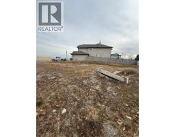 467 East Lakeview Road, Chestermere, AB T1X0A2 Photo 3