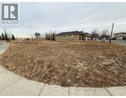 567 East Lakeview Place, Chestermere, AB T1X0A3 Photo 3