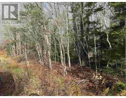 Lot Pid 60421732 Highway 325, Blockhouse, NS B0J1E0 Photo 3
