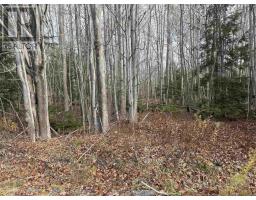 Lot Pid 60421732 Highway 325, Blockhouse, NS B0J1E0 Photo 4