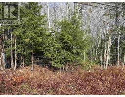 Lot Pid 60421732 Highway 325, Blockhouse, NS B0J1E0 Photo 2