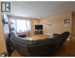 Kitchen - 10203 16 Street, Dawson Creek, BC V1G3Z9 Photo 4