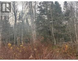 25 4 Spruce Lane, Damascus, NB E5N0P2 Photo 3