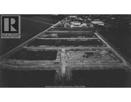 5267 Aiden Street, Tecumseh, ON N0R1K0 Photo 3