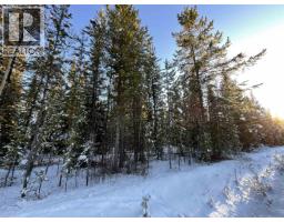 Lot 1 Tibbles Road, Quesnel, BC V2J3H9 Photo 3