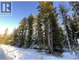 Lot 1 Tibbles Road, Quesnel, BC V2J3H9 Photo 4