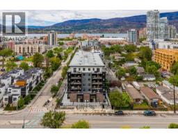 Laundry room - 660 Cawston Avenue Unit 313, Kelowna, BC V1Y6Z4 Photo 2