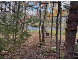 Lot 7 Old Dam Road, Eight Island Lake, NS B1H1L0 Photo 2
