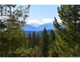 7074 White Tail Lane Lot 15, Radium Hot Springs, BC V0A1M0 Photo 2