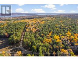 100 Nangor Trail, Whitewater Region, ON K0J2L0 Photo 2