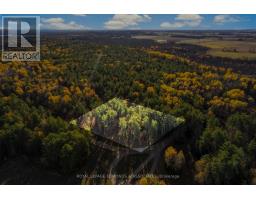 100 Nangor Trail, Whitewater Region, ON K0J2L0 Photo 3