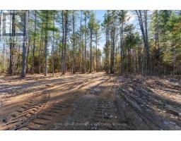 100 Nangor Trail, Whitewater Region, ON K0J2L0 Photo 4