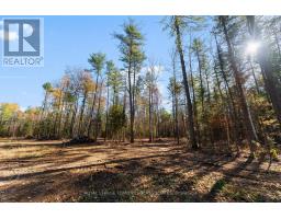 100 Nangor Trail, Whitewater Region, ON K0J2L0 Photo 5