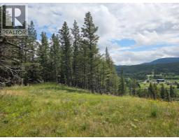 4 5302 19th Avenue, Coleman, AB T0K0M0 Photo 4