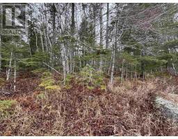 Lot 3 23 Highway 325, West Clifford, NS B4V8H3 Photo 5