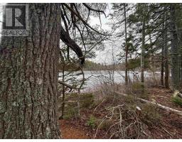 Lot 6 23 Highway 325, West Clifford, NS B4V8H3 Photo 4