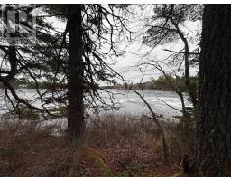 Lot 6 23 Highway 325, West Clifford, NS B4V8H3 Photo 5