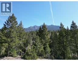 7039 White Tail Lane Lot 22, Radium Hot Springs, BC V0A1M0 Photo 5