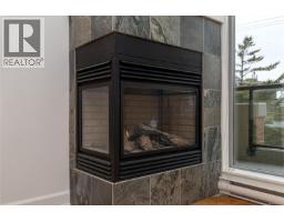 Living room - 307 225 Menzies St, Victoria, BC V8V2G6 Photo 4